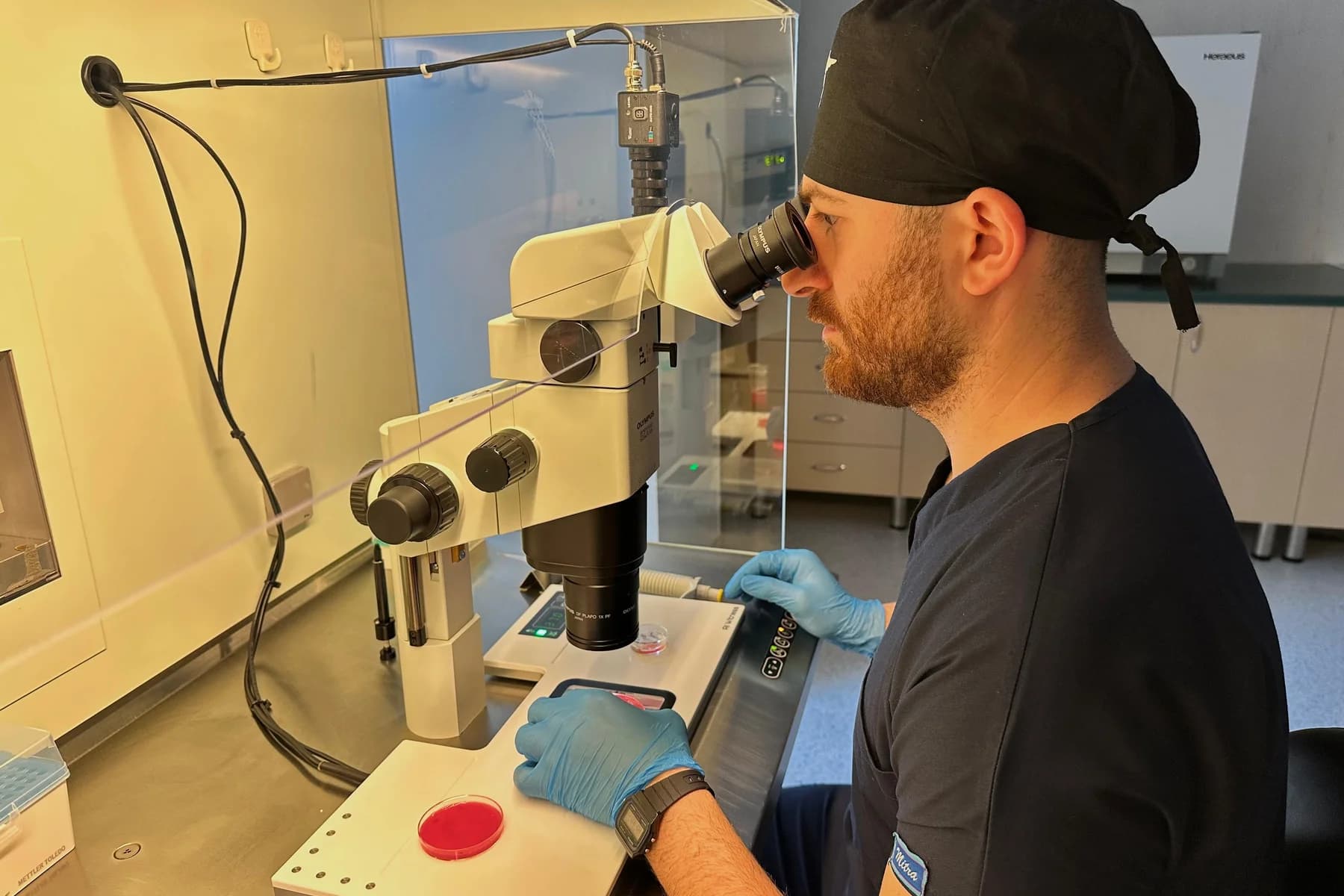 How Many Eggs Are Retrieved In Assisted Reproduction Treatment?