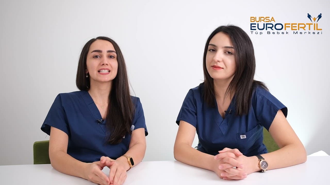 IVF Stages: Egg Retrieval (OPU) and Embryo Transfer