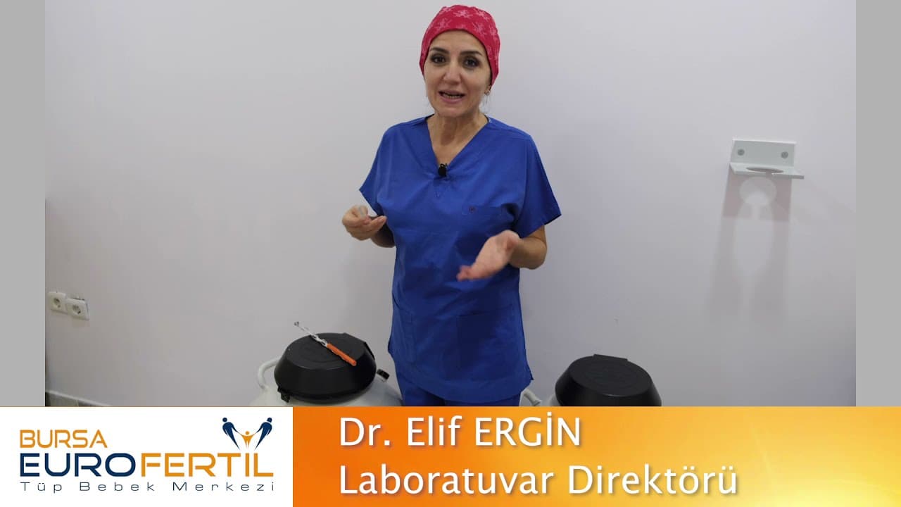 التزجيج (Vitrification)