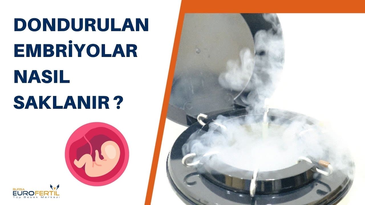 Как хранятся замороженные эмбрионы?