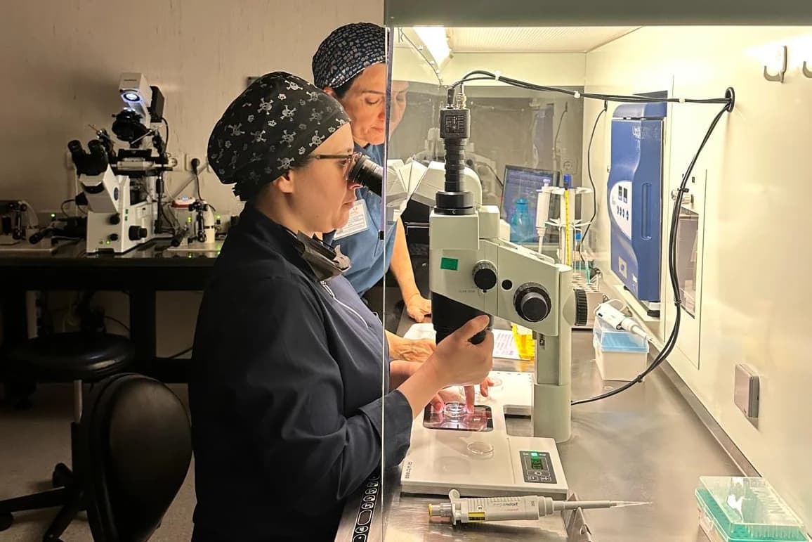 Who is IVF applied to?
