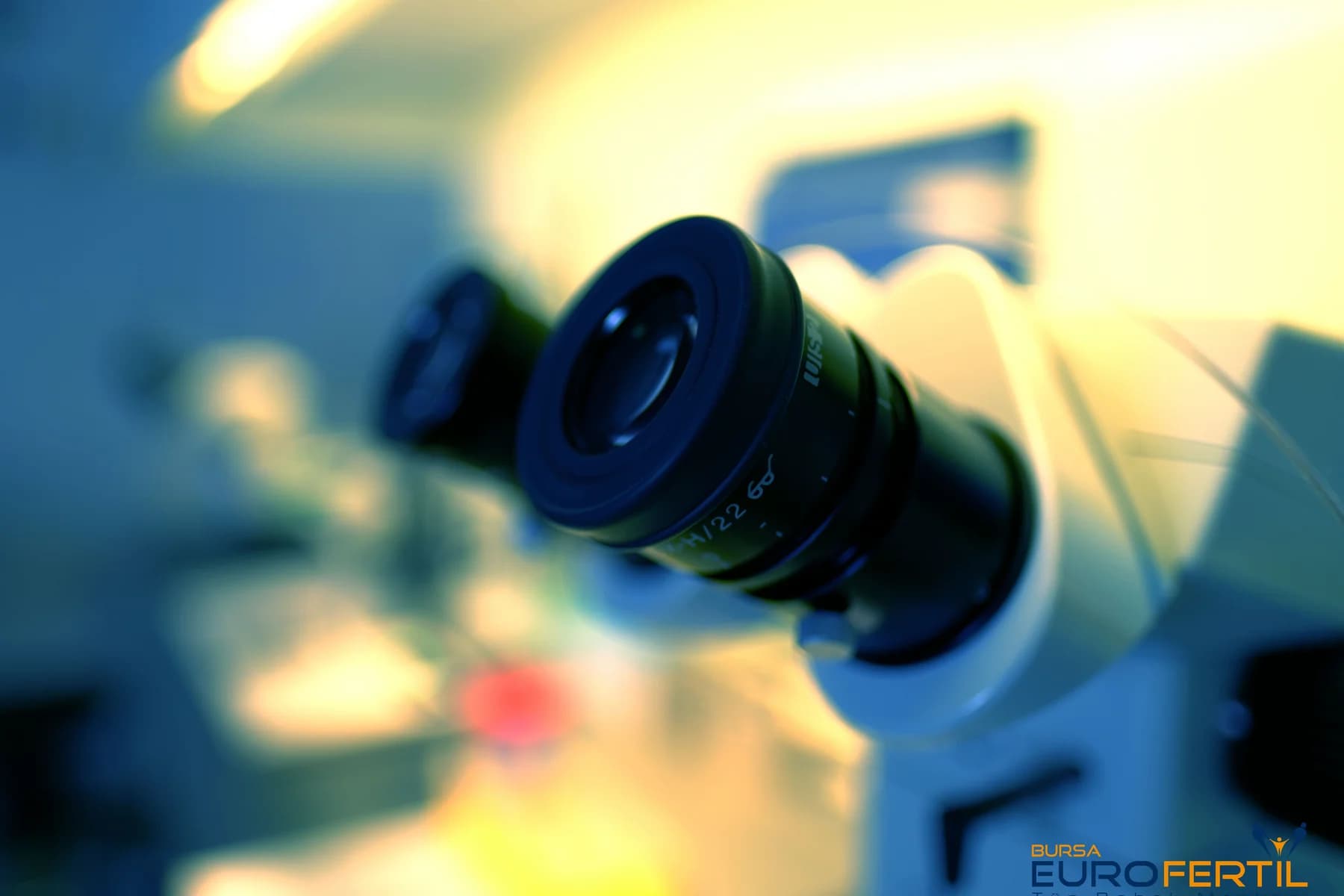 How to increase the success rate in IVF?
