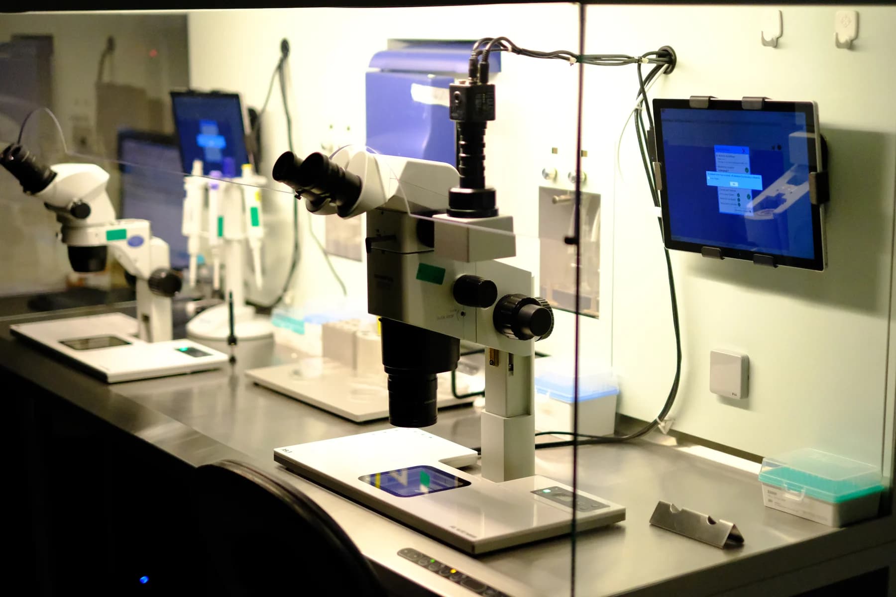 Recurrent IVF Failures